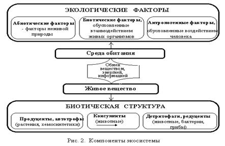 Реферат: Структура экологических систем