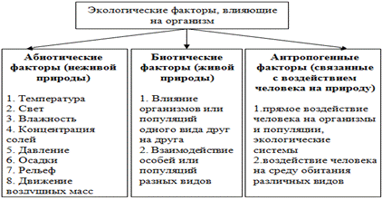 http://festival.1september.ru/articles/517948/img1.gif