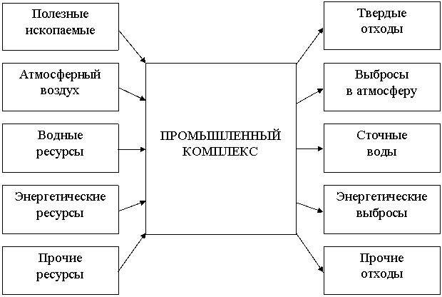 Реферат: Влияние человека на экосистему