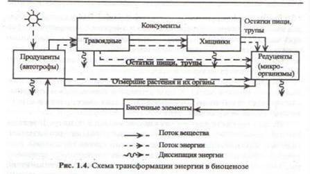 http://www.ekologia-v-vuz.ru/image/transformazia-energii.jpg