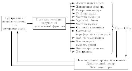 Рис. 1.4. Принципиальная схема типичной функциональной системы на примере