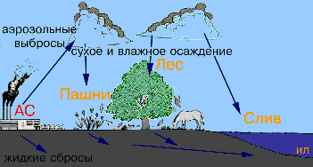 Реферат: Необходимость защиты окружающей среды от опасных техногенных воздействий промышленности на экосистемы