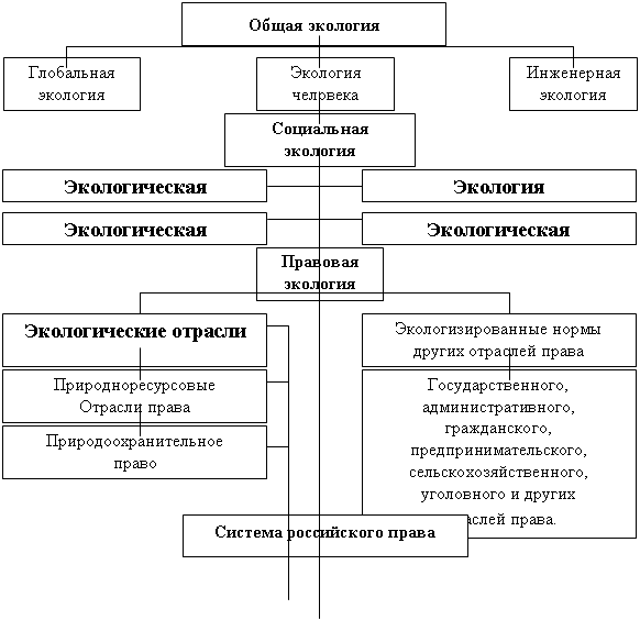 Реферат: Функции права 3