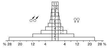 Рис. 124. Возрастная пирамида популяции зяблика Fringilla coelebs